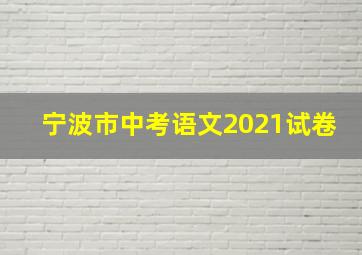 宁波市中考语文2021试卷