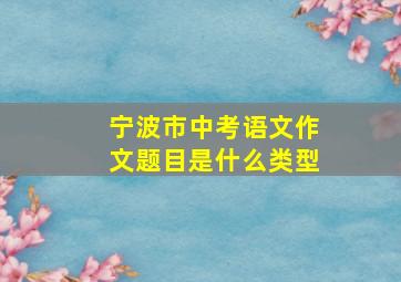 宁波市中考语文作文题目是什么类型