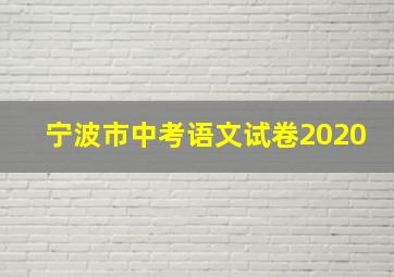 宁波市中考语文试卷2020