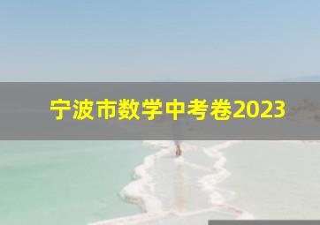 宁波市数学中考卷2023