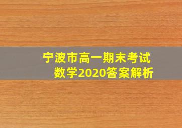 宁波市高一期末考试数学2020答案解析