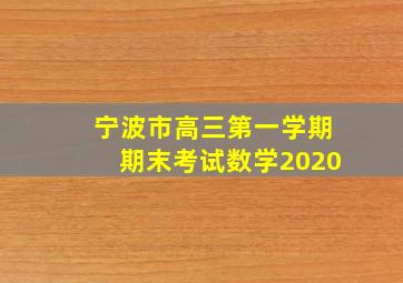 宁波市高三第一学期期末考试数学2020