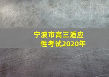 宁波市高三适应性考试2020年