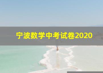 宁波数学中考试卷2020