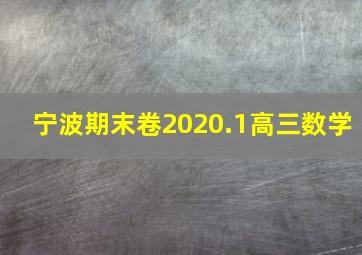 宁波期末卷2020.1高三数学