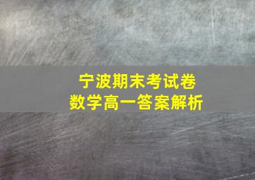 宁波期末考试卷数学高一答案解析