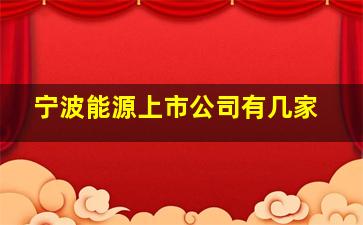 宁波能源上市公司有几家