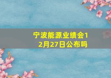 宁波能源业绩会12月27日公布吗