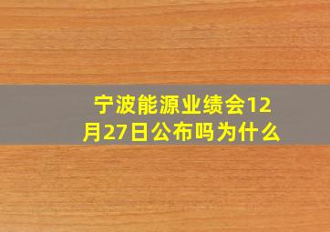 宁波能源业绩会12月27日公布吗为什么