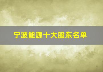 宁波能源十大股东名单