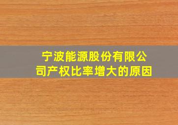 宁波能源股份有限公司产权比率增大的原因