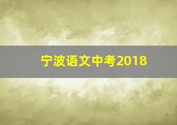 宁波语文中考2018