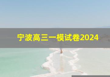 宁波高三一模试卷2024