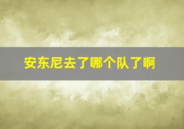 安东尼去了哪个队了啊