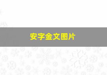 安字金文图片