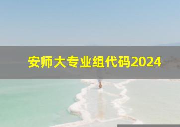 安师大专业组代码2024