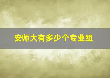 安师大有多少个专业组