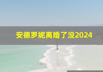 安德罗妮离婚了没2024