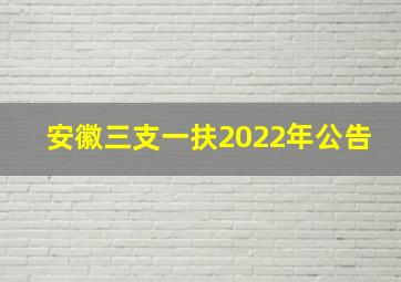 安徽三支一扶2022年公告