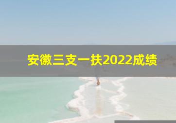 安徽三支一扶2022成绩