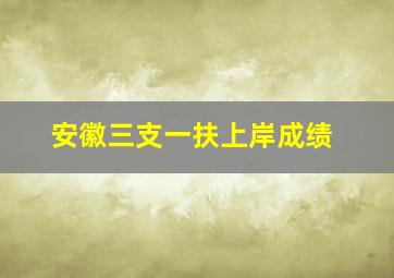 安徽三支一扶上岸成绩