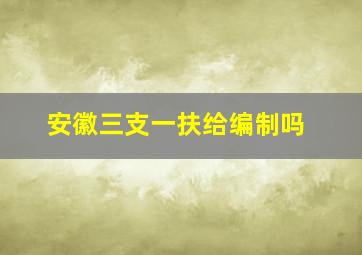 安徽三支一扶给编制吗