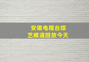 安徽电视台综艺频道回放今天