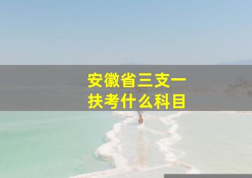 安徽省三支一扶考什么科目