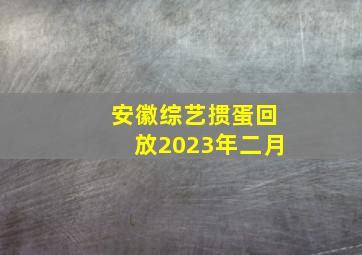 安徽综艺掼蛋回放2023年二月