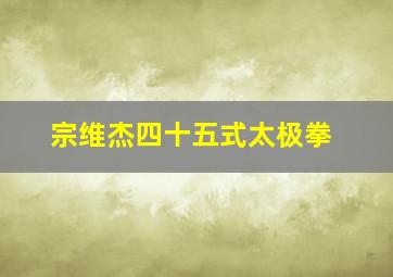 宗维杰四十五式太极拳