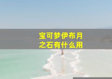 宝可梦伊布月之石有什么用