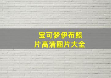 宝可梦伊布照片高清图片大全