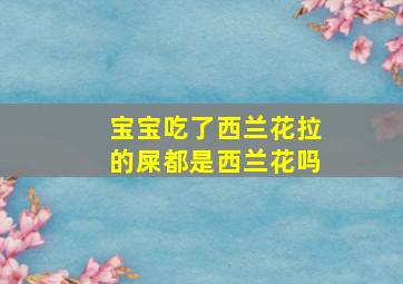 宝宝吃了西兰花拉的屎都是西兰花吗