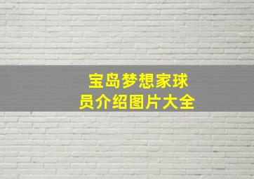 宝岛梦想家球员介绍图片大全