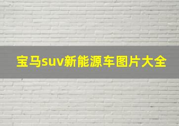 宝马suv新能源车图片大全