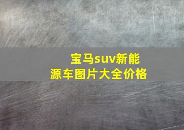 宝马suv新能源车图片大全价格