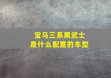 宝马三系黑武士是什么配置的车型