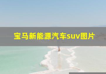 宝马新能源汽车suv图片