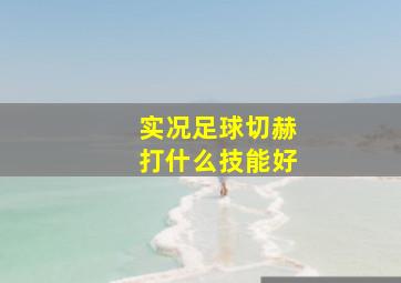 实况足球切赫打什么技能好