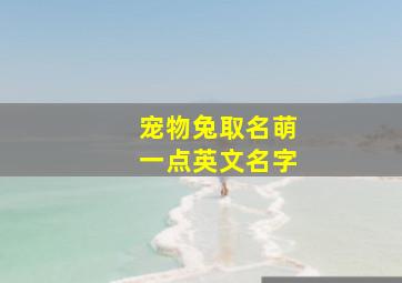 宠物兔取名萌一点英文名字