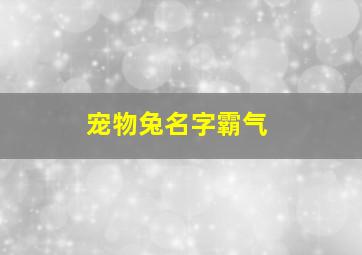 宠物兔名字霸气