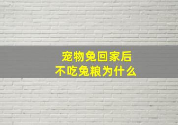 宠物兔回家后不吃兔粮为什么