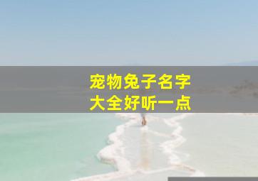 宠物兔子名字大全好听一点