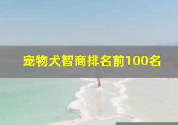 宠物犬智商排名前100名