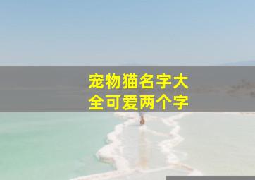 宠物猫名字大全可爱两个字