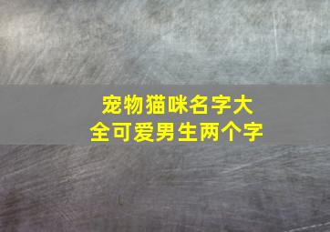 宠物猫咪名字大全可爱男生两个字