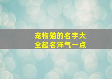 宠物猫的名字大全起名洋气一点