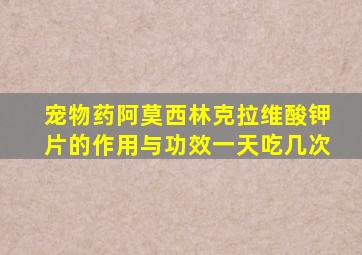 宠物药阿莫西林克拉维酸钾片的作用与功效一天吃几次