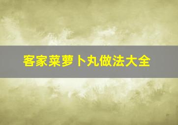 客家菜萝卜丸做法大全