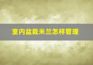 室内盆栽米兰怎样管理